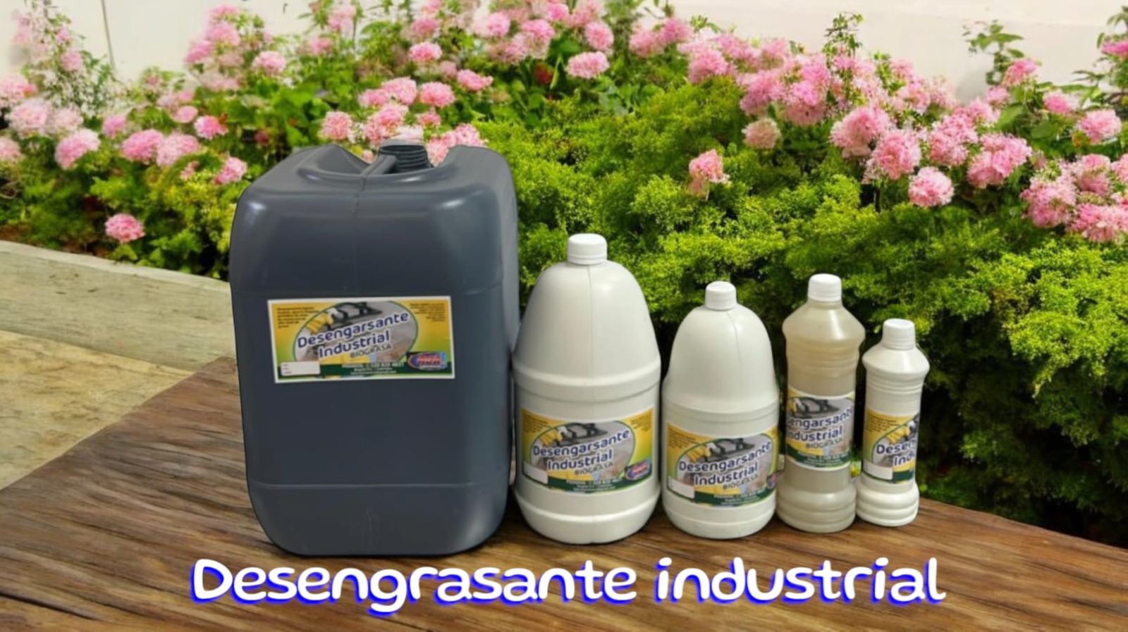 Home desengrasante industrial