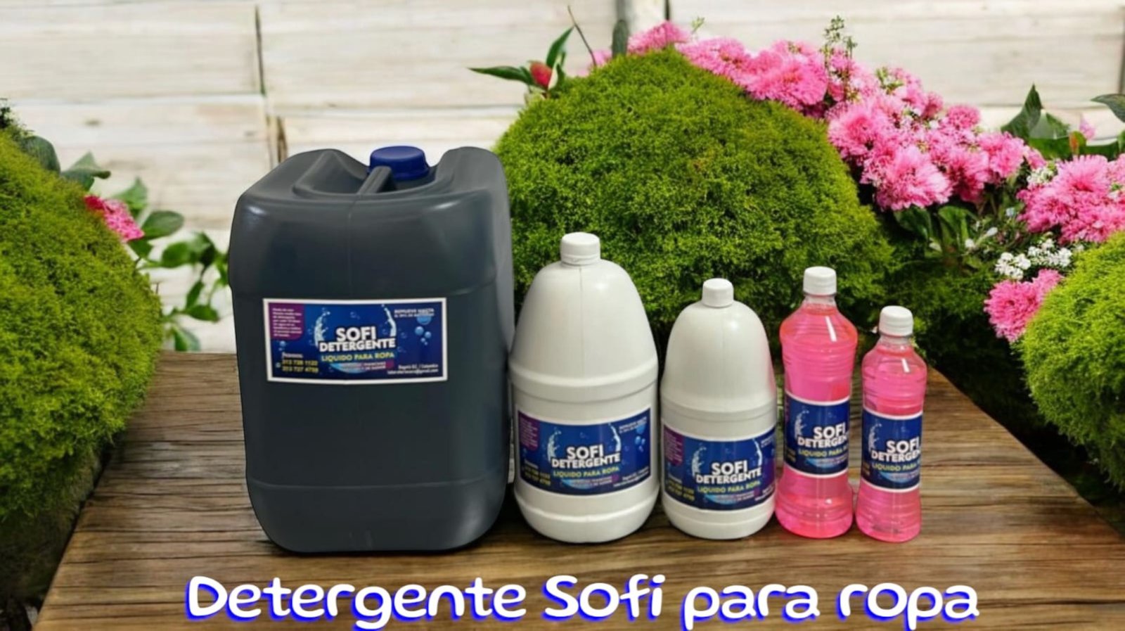 Home detergente sofi